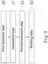 Fig. 04 - SPACER FOR INSULATING GLAZING UNITS, METHOD FOR PRODUCING THE SPACER AND MULTIPLE INSULATING GLAZING UNIT