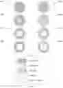 Fig. 02 - Method and apparatus for continuous composite three-dimensional printing