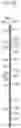 Fig. 41 - Method for manufacturing intermediate material for soft packaging container, method for manufacturing soft packaging container, and method for manufacturing soft packaging container packaging body