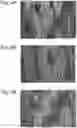 Fig. 04 - Composite material for vehicle interior
