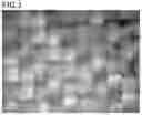 Fig. 03 - Layered product
