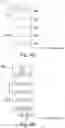 Fig. 13 - ADHESIVE STRUCTURE AND TRANSFER METHOD OF DEVICES