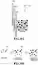 Fig. 11 - Inkjet printing apparatus, printing method, and storage medium