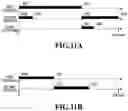 Fig. 13 - Image processing method