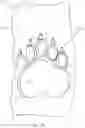 Fig. 15 - STENCILS AND METHODS FOR BURNING ARTWORK ON SUBSTRATES