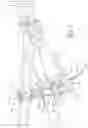 Fig. 07 - Weight distributing and sway control hitch
