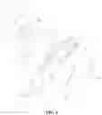 Fig. 04 - BABY CARRIAGE HAVING IMPROVED CONVENIENCE OF USE