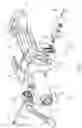 Fig. 02 - Rake adjustment assembly of steering column