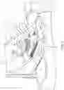 Fig. 04 - Rake adjustment assembly of steering column