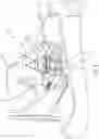 Fig. 05 - Rake adjustment assembly of steering column