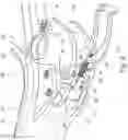 Fig. 09 - CONVERTIBLE TWO-WHEELER