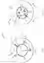Fig. 09 - Torque transmission assembly for a bicycle