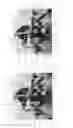 Fig. 12 - Hover-capable flapping-wing aircraft