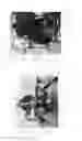 Fig. 13 - Hover-capable flapping-wing aircraft
