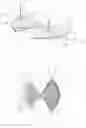 Fig. 15 - Hover-capable flapping-wing aircraft
