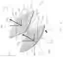 Fig. 18 - Hover-capable flapping-wing aircraft