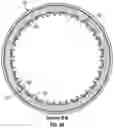 Fig. 09 - Childproof tamper evident closure assembly