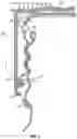 Fig. 10 - Childproof tamper evident closure assembly