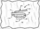 Fig. 01 - Wire tie with adhesive