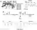 Fig. 55 - Kinase inhibitor compounds, compositions, and methods of treating cancer