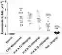 Fig. 01 - Chemokine receptor modulators and uses thereof