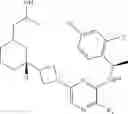 Fig. 216 - Chemokine receptor modulators and uses thereof