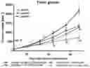 Fig. 02 - Quinazoline derivative or its salt and pharmaceutical composition comprising the same