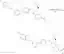 Fig. 147 - GLP-1R agonists and uses thereof