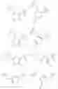 Fig. 43 - GLP-1R agonists and uses thereof