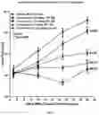 Fig. 07 - Methods of treating non-Hodgkin lymphoma using 2-(2,6-dioxopiperidin-3-yl)-4-((2-fluoro-4-((3-morpholinoazetidin-1-yl)methyl)benzyl)amino)isoindoline-1,3-dione