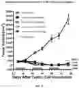 Fig. 09 - Methods of treating non-Hodgkin lymphoma using 2-(2,6-dioxopiperidin-3-yl)-4-((2-fluoro-4-((3-morpholinoazetidin-1-yl)methyl)benzyl)amino)isoindoline-1,3-dione