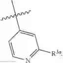 Fig. 13 - Substituted pyrazolo[3,4-d]pyrimidines as Wee1 inhibitors