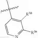 Fig. 19 - Substituted pyrazolo[3,4-d]pyrimidines as Wee1 inhibitors