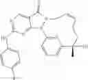 Fig. 124 - Macrocyclic compound serving as Wee1 inhibitor and applications thereof