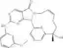 Fig. 95 - Macrocyclic compound serving as Wee1 inhibitor and applications thereof
