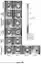Fig. 08 - Macrocyclic compounds and uses thereof