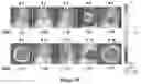 Fig. 10 - Macrocyclic compounds and uses thereof