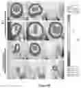 Fig. 12 - Macrocyclic compounds and uses thereof