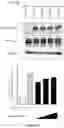Fig. 26 - Macrocyclic compounds and uses thereof