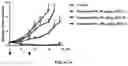 Fig. 31 - Macrocyclic compounds and uses thereof