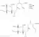Fig. 54 - Macrocyclic compounds and uses thereof