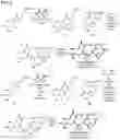 Fig. 06 - METHODS OF MAKING STREPTOGRAMIN COMPOSITIONS AND THE USE THEREOF