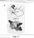 Fig. 02 - CYSTINE KNOT SCAFFOLD PLATFORM
