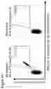 Fig. 35 - Immunotherapy with A*01 restricted peptides and combination of peptides against cancers and related methods