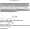 Fig. 43 - Methods for modulating an immune response