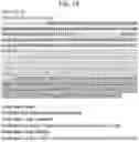 Fig. 44 - Methods for modulating an immune response