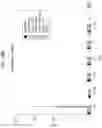 Fig. 78 - Methods for modulating an immune response