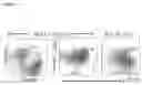 Fig. 04 - RSV-SPECIFIC BINDING MOLECULES AND MEANS FOR PRODUCING THEM