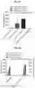 Fig. 06 - THYMIC STROMAL LYMPHOPOIETIN (TSLP)-BINDING MOLECULES AND METHODS OF USING THE MOLECULES