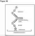 Fig. 03 - Techniques for predicting, detecting and reducing aspecific protein interference in assays involving immunoglobulin single variable domains